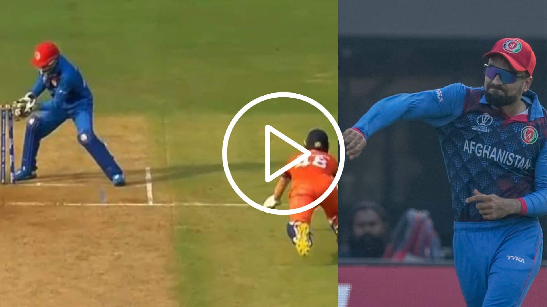 [Watch] Rashid Khan's Stunning Fielding Effort Results In Disastrous Run Out For Netherlands